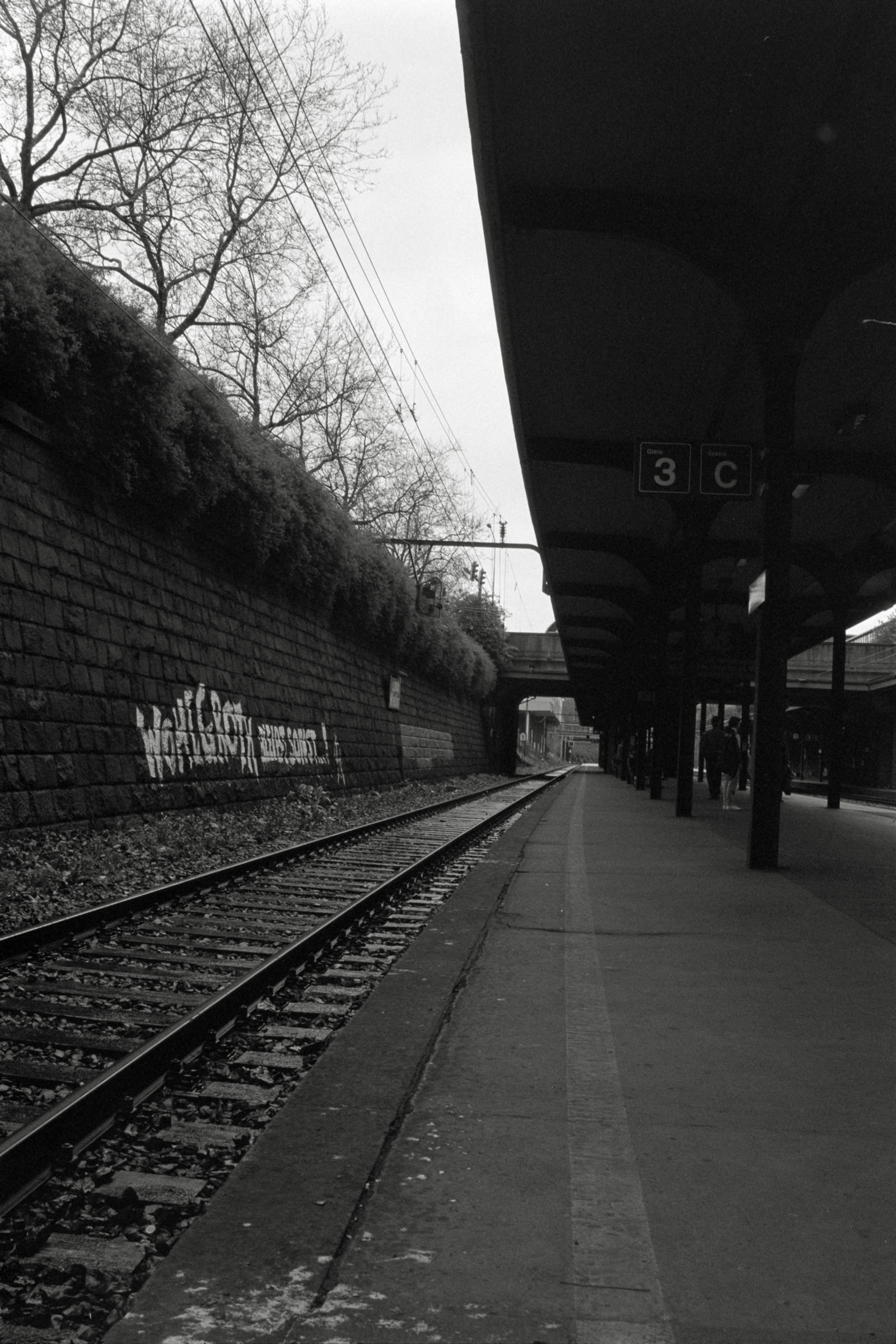 AHP F1992 04 002 sc250507 img10 NLP